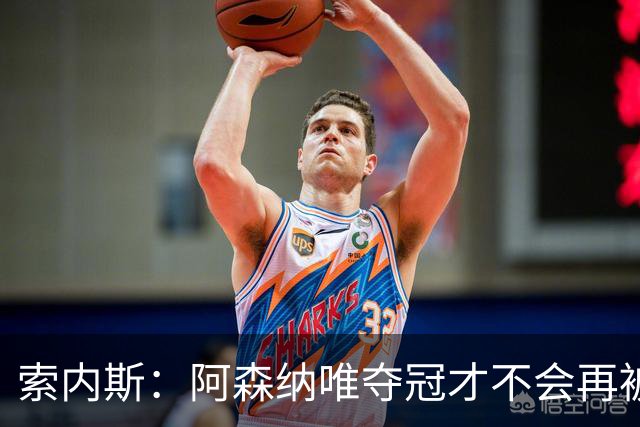 索内斯：阿森纳唯夺冠才不会再被当陪衬